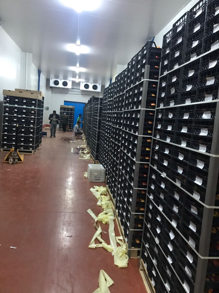 Hacıbaba Ticaret | Sabri Beyan | Beyan Tarım |Bursa'da Meyve Depoları | Bursa da Meyve Buzhaneleri |Bursa da Meyve Depoları | Bursa da Meyve Buzhaneleri | Meyve Depoları | Gürsu Meyve Depoları | Meyve Buzhaneleri | Bursa meyve buzhaneleri, bursa meyve depoları