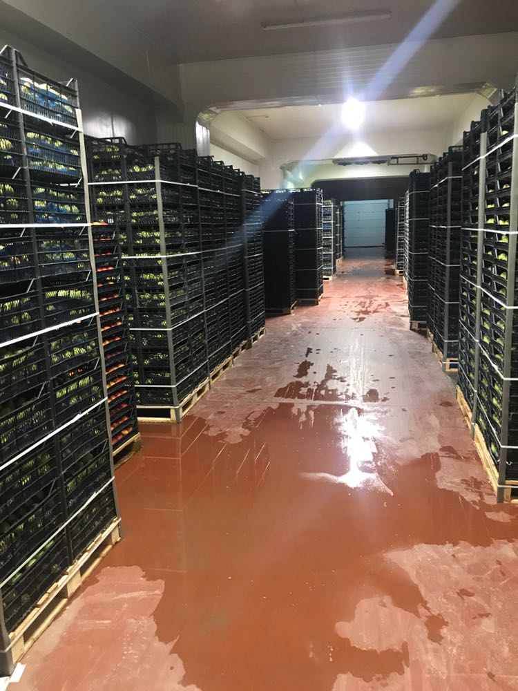 Hacıbaba Ticaret | Sabri Beyan | Beyan Tarım |Bursa'da Meyve Depoları | Bursa da Meyve Buzhaneleri |Bursa da Meyve Depoları | Bursa da Meyve Buzhaneleri | Meyve Depoları | Gürsu Meyve Depoları | Meyve Buzhaneleri | Bursa meyve buzhaneleri, bursa meyve depoları