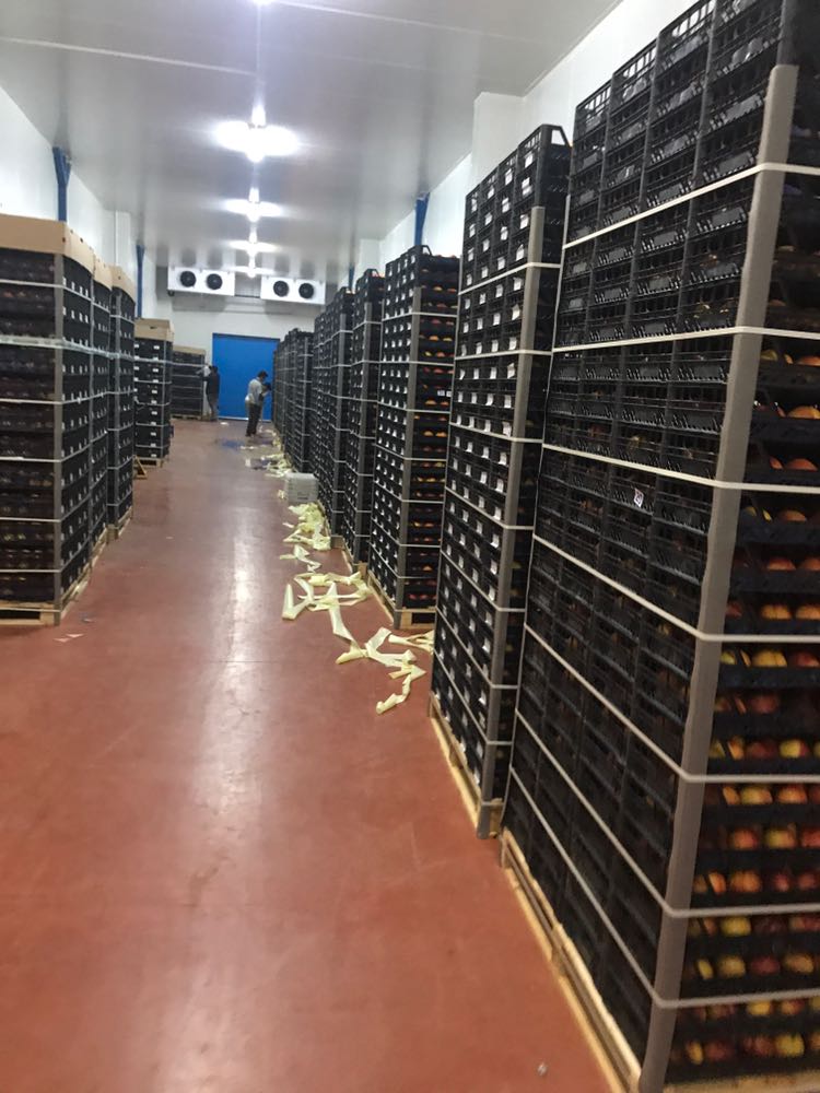 Hacıbaba Ticaret | Sabri Beyan | Beyan Tarım |Bursa'da Meyve Depoları | Bursa da Meyve Buzhaneleri |Bursa da Meyve Depoları | Bursa da Meyve Buzhaneleri | Meyve Depoları | Gürsu Meyve Depoları | Meyve Buzhaneleri | Bursa meyve buzhaneleri, bursa meyve depoları