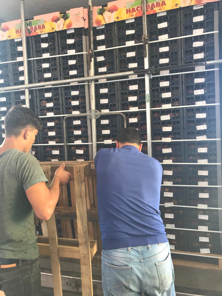 Hacıbaba Ticaret | Sabri Beyan | Beyan Tarım |Bursa'da Meyve Depoları | Bursa da Meyve Buzhaneleri |Bursa da Meyve Depoları | Bursa da Meyve Buzhaneleri | Meyve Depoları | Gürsu Meyve Depoları | Meyve Buzhaneleri | Bursa meyve buzhaneleri, bursa meyve depoları