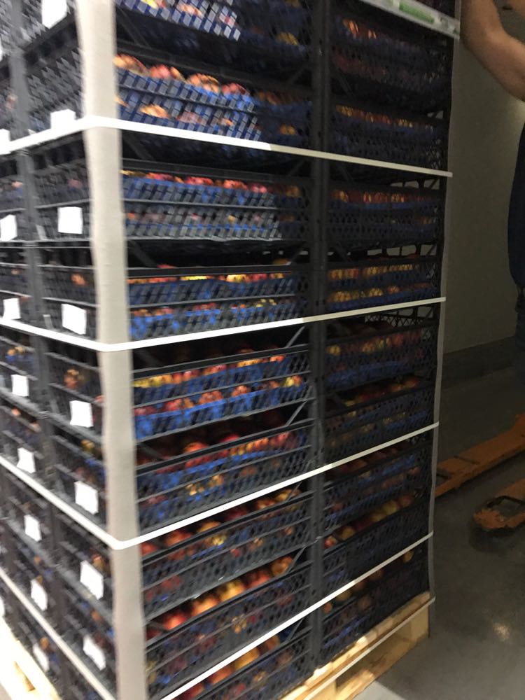 Hacıbaba Ticaret | Sabri Beyan | Beyan Tarım |Bursa'da Meyve Depoları | Bursa da Meyve Buzhaneleri |Bursa da Meyve Depoları | Bursa da Meyve Buzhaneleri | Meyve Depoları | Gürsu Meyve Depoları | Meyve Buzhaneleri | Bursa meyve buzhaneleri, bursa meyve depoları