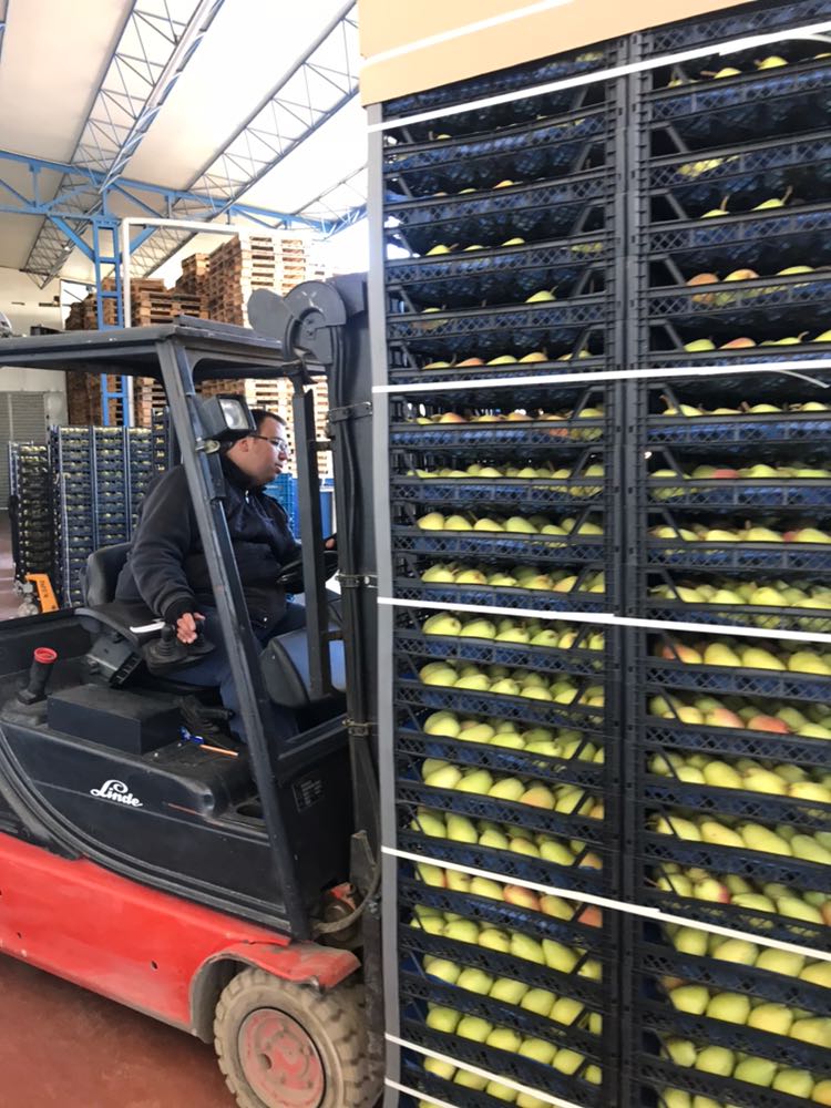 Hacıbaba Ticaret | Sabri Beyan | Beyan Tarım |Bursa'da Meyve Depoları | Bursa da Meyve Buzhaneleri |Bursa da Meyve Depoları | Bursa da Meyve Buzhaneleri | Meyve Depoları | Gürsu Meyve Depoları | Meyve Buzhaneleri | Bursa meyve buzhaneleri, bursa meyve depoları