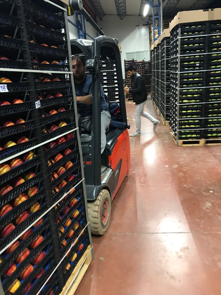 Hacıbaba Ticaret | Sabri Beyan | Beyan Tarım |Bursa'da Meyve Depoları | Bursa da Meyve Buzhaneleri |Bursa da Meyve Depoları | Bursa da Meyve Buzhaneleri | Meyve Depoları | Gürsu Meyve Depoları | Meyve Buzhaneleri | Bursa meyve buzhaneleri, bursa meyve depoları