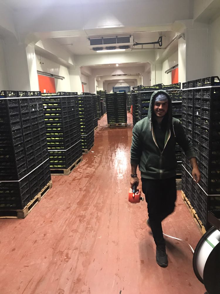 Hacıbaba Ticaret | Sabri Beyan | Beyan Tarım |Bursa'da Meyve Depoları | Bursa da Meyve Buzhaneleri |Bursa da Meyve Depoları | Bursa da Meyve Buzhaneleri | Meyve Depoları | Gürsu Meyve Depoları | Meyve Buzhaneleri | Bursa meyve buzhaneleri, bursa meyve depoları